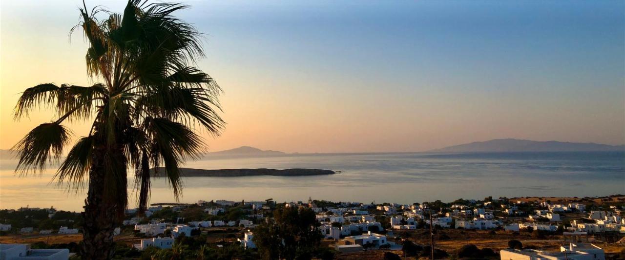 Villa Rossi Paros Luxury Apartments And Suites Drios Eksteriør billede